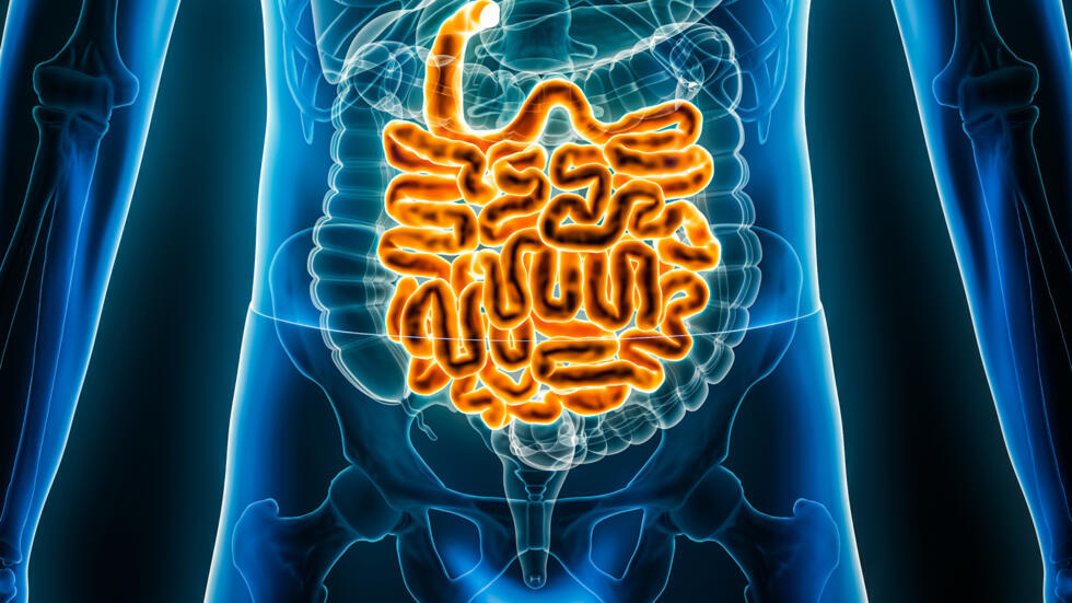 Microbiote intestinal: les pouvoirs du ventre - Priorité santé